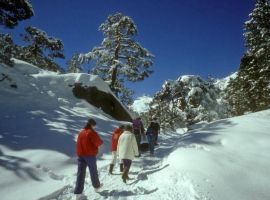 Randonnée en hiver